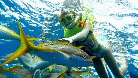Les clubs de plongée de la côte balinaise sont très réputés et offrent un spectacle marin à couper le souffle. (Crédit photo : voyageparadis.blogspot.com)