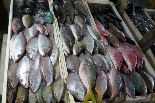 Le marché aux poissons de Jimbaran offre tous les délices marins à ses visiteurs. CR : nouvelezereland.canalblog.com